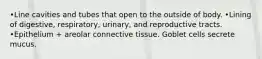 •Line cavities and tubes that open to the outside of body. •Lining of digestive, respiratory, urinary, and reproductive tracts. •Epithelium + areolar connective tissue. Goblet cells secrete mucus.