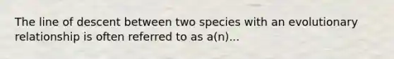 The line of descent between two species with an evolutionary relationship is often referred to as a(n)...