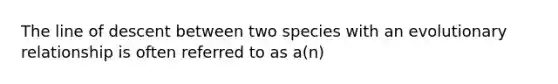 The line of descent between two species with an evolutionary relationship is often referred to as a(n)