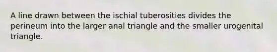 A line drawn between the ischial tuberosities divides the perineum into the larger anal triangle and the smaller urogenital triangle.