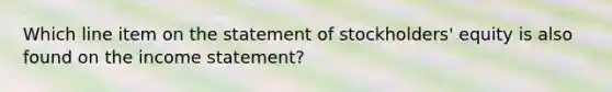 Which line item on the statement of stockholders' equity is also found on the income statement?