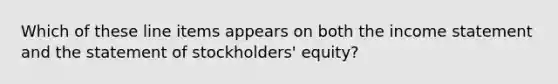 Which of these line items appears on both the income statement and the statement of stockholders' equity?