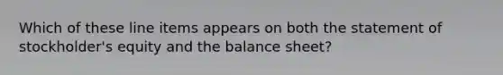 Which of these line items appears on both the statement of stockholder's equity and the balance sheet?