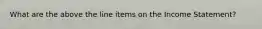 What are the above the line items on the Income Statement?