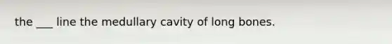 the ___ line the medullary cavity of long bones.