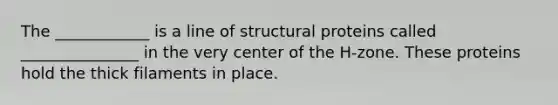 The ____________ is a line of structural proteins called _______________ in the very center of the H-zone. These proteins hold the thick filaments in place.