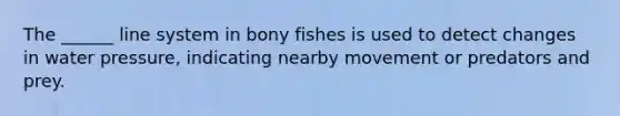 The ______ line system in bony fishes is used to detect changes in water pressure, indicating nearby movement or predators and prey.