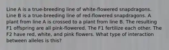 Line A is a true-breeding line of white-flowered snapdragons. Line B is a true-breeding line of red-flowered snapdragons. A plant from line A is crossed to a plant from line B. The resulting F1 offspring are all pink-flowered. The F1 fertilize each other. The F2 have red, white, and pink flowers. What type of interaction between alleles is this?