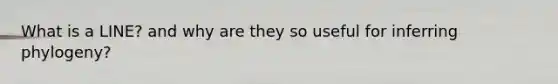 What is a LINE? and why are they so useful for inferring phylogeny?
