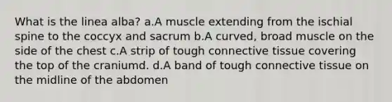 What is the linea alba? a.A muscle extending from the ischial spine to the coccyx and sacrum b.A curved, broad muscle on the side of the chest c.A strip of tough connective tissue covering the top of the craniumd. d.A band of tough connective tissue on the midline of the abdomen