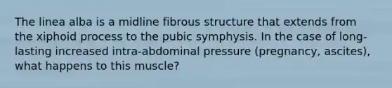 The linea alba is a midline fibrous structure that extends from the xiphoid process to the pubic symphysis. In the case of long-lasting increased intra-abdominal pressure (pregnancy, ascites), what happens to this muscle?