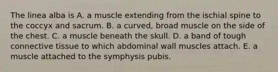 The linea alba is A. a muscle extending from the ischial spine to the coccyx and sacrum. B. a curved, broad muscle on the side of the chest. C. a muscle beneath the skull. D. a band of tough connective tissue to which abdominal wall muscles attach. E. a muscle attached to the symphysis pubis.