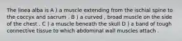 The linea alba is A ) a muscle extending from the ischial spine to the coccyx and sacrum . B ) a curved , broad muscle on the side of the chest . C ) a muscle beneath the skull D ) a band of tough connective tissue to which abdominal wall muscles attach .