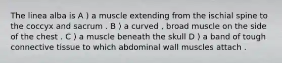 The linea alba is A ) a muscle extending from the ischial spine to the coccyx and sacrum . B ) a curved , broad muscle on the side of the chest . C ) a muscle beneath the skull D ) a band of tough connective tissue to which abdominal wall muscles attach .