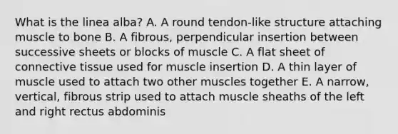 What is the linea alba? A. A round tendon-like structure attaching muscle to bone B. A fibrous, perpendicular insertion between successive sheets or blocks of muscle C. A flat sheet of connective tissue used for muscle insertion D. A thin layer of muscle used to attach two other muscles together E. A narrow, vertical, fibrous strip used to attach muscle sheaths of the left and right rectus abdominis