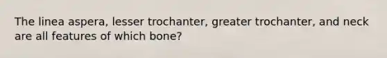 The linea aspera, lesser trochanter, greater trochanter, and neck are all features of which bone?