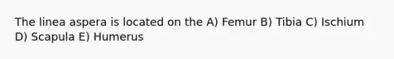The linea aspera is located on the A) Femur B) Tibia C) Ischium D) Scapula E) Humerus