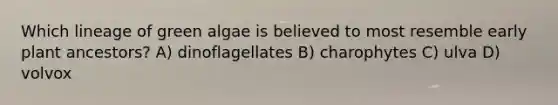 Which lineage of green algae is believed to most resemble early plant ancestors? A) dinoflagellates B) charophytes C) ulva D) volvox