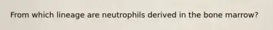 From which lineage are neutrophils derived in the bone marrow?