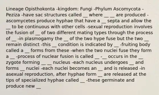 Lineage Opisthokonta -kingdom: Fungi -Phylum Ascomycota -Peziza -have sac structures called __ where __ __ are produced -ascomycetes produce hyphae that have a __ septa and allow the __ to be continuous with other cells -sexual reproduction involves the fusion of __ of two different mating types through the process of __ -in plasmogamy the __ of the two hype fuse but the two __ remain distinct -this __ condition is indicated by __ -fruiting body called a __ forms from these -when the two nuclei fuse they form a __ -process of nuclear fusion is called __ -__ occurs in the __ zygote forming __ __ nucleus -each nucleus undergoes __ and forms __ nuclei -each nuclei becomes an __ and is released -in asexual reproduction, after hyphae form __ are released at the tips of specialized hyphae called __ -these germinate and produce new __