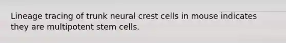 Lineage tracing of trunk neural crest cells in mouse indicates they are multipotent stem cells.