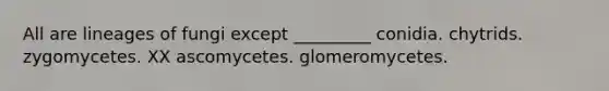 All are lineages of fungi except _________ conidia. chytrids. zygomycetes. XX ascomycetes. glomeromycetes.