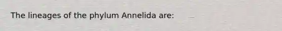 The lineages of the phylum Annelida are: