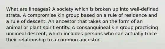 What are lineages? A society which is broken up into well-defined strata. A compromise kin group based on a rule of residence and a rule of descent. An ancestor that takes on the form of an animal or plant spirit entity. A consanguineal kin group practicing unilineal descent, which includes persons who can actually trace their relationship to a common ancestor.