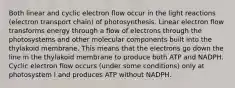 ﻿﻿Both linear and cyclic electron flow occur in the light reactions (electron transport chain) of photosynthesis. Linear electron flow transforms energy through a flow of electrons through the photosystems and other molecular components built into the thylakoid membrane. This means that the electrons go down the line in the thylakoid membrane to produce both ATP and NADPH. Cyclic electron flow occurs (under some conditions) only at photosystem I and produces ATP without NADPH.