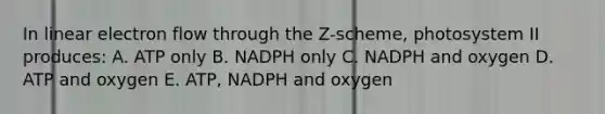 In linear electron flow through the Z-scheme, photosystem II produces: A. ATP only B. NADPH only C. NADPH and oxygen D. ATP and oxygen E. ATP, NADPH and oxygen