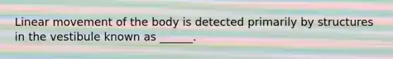 Linear movement of the body is detected primarily by structures in the vestibule known as ______.