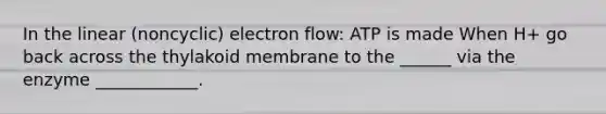 In the linear (noncyclic) electron flow: ATP is made When H+ go back across the thylakoid membrane to the ______ via the enzyme ____________.