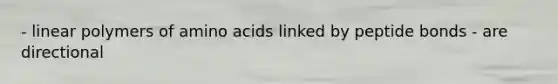 - linear polymers of amino acids linked by peptide bonds - are directional