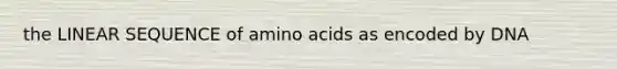 the LINEAR SEQUENCE of amino acids as encoded by DNA