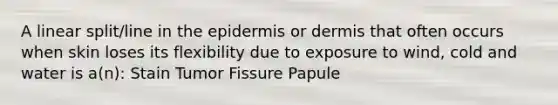 A linear split/line in the epidermis or dermis that often occurs when skin loses its flexibility due to exposure to wind, cold and water is a(n): Stain Tumor Fissure Papule