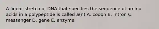 A linear stretch of DNA that specifies the sequence of amino acids in a polypeptide is called a(n) A. codon B. intron C. messenger D. gene E. enzyme