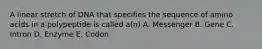 A linear stretch of DNA that specifies the sequence of amino acids in a polypeptide is called a(n) A. Messenger B. Gene C. Intron D. Enzyme E. Codon