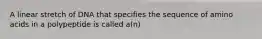 A linear stretch of DNA that specifies the sequence of amino acids in a polypeptide is called a(n)