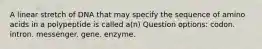 A linear stretch of DNA that may specify the sequence of amino acids in a polypeptide is called a(n) Question options: codon. intron. messenger. gene. enzyme.