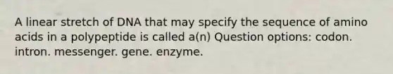 A linear stretch of DNA that may specify the sequence of amino acids in a polypeptide is called a(n) Question options: codon. intron. messenger. gene. enzyme.