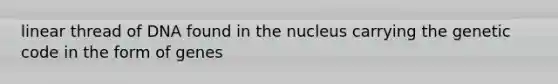 linear thread of DNA found in the nucleus carrying the genetic code in the form of genes