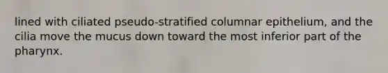 lined with ciliated pseudo-stratified columnar epithelium, and the cilia move the mucus down toward the most inferior part of the pharynx.