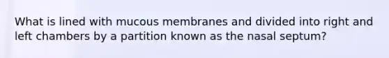 What is lined with mucous membranes and divided into right and left chambers by a partition known as the nasal septum?