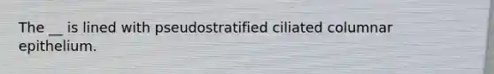 The __ is lined with pseudostratified ciliated columnar epithelium.