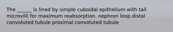 The ______ is lined by simple cuboidal epithelium with tall microvilli for maximum reabsorption. nephron loop distal convoluted tubule proximal convoluted tubule