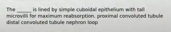 The ______ is lined by simple cuboidal epithelium with tall microvilli for maximum reabsorption. proximal convoluted tubule distal convoluted tubule nephron loop