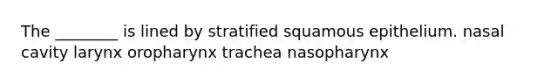 The ________ is lined by stratified squamous epithelium. nasal cavity larynx oropharynx trachea nasopharynx