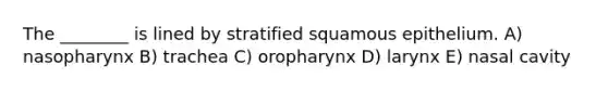 The ________ is lined by stratified squamous epithelium. A) nasopharynx B) trachea C) oropharynx D) larynx E) nasal cavity