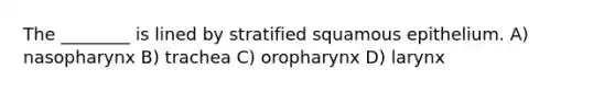 The ________ is lined by stratified squamous epithelium. A) nasopharynx B) trachea C) oropharynx D) larynx