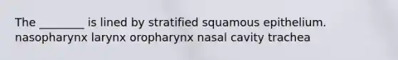 The ________ is lined by stratified squamous epithelium. nasopharynx larynx oropharynx nasal cavity trachea